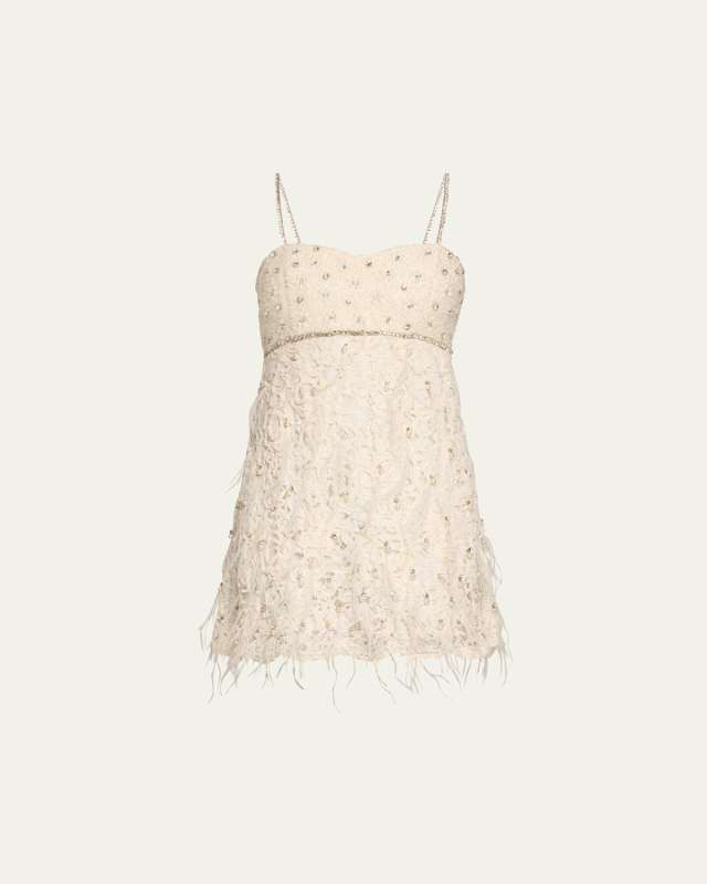 Brianne Embellished Lace Mini Dress